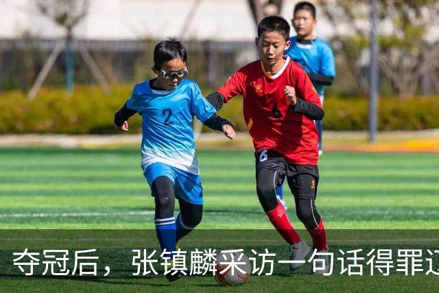 夺冠后，张镇麟采访一句话得罪辽宁，辽蜜：有本事到四川证明价值